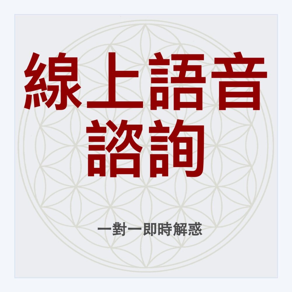 線上語音諮詢