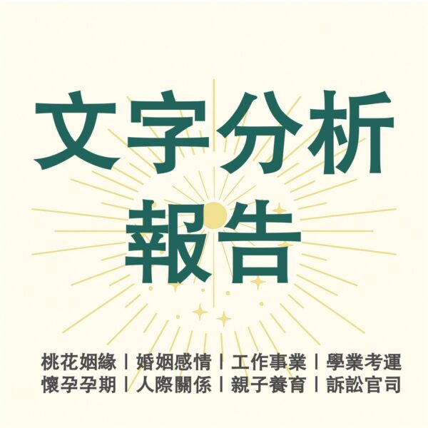 文字分析報告
